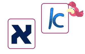 מָה רְאִיתֶם?